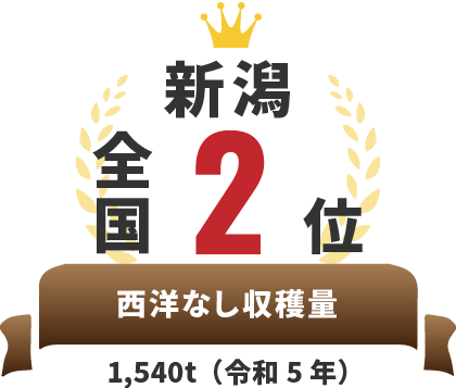 全国2位 西洋なし収穫量 1,540t（令和5年）