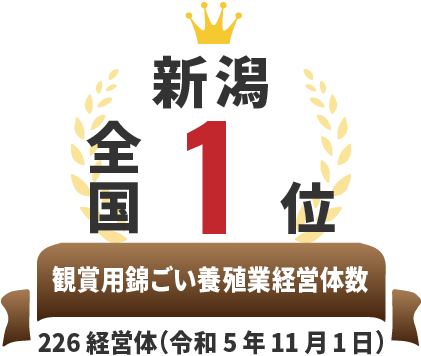 全国1位 観賞用錦ごい養殖業経営体数 226経営体（令和5年11月1日）